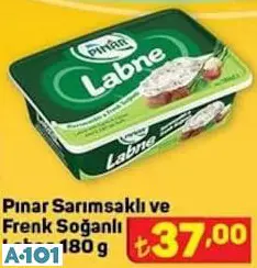 PINAR SARIMSAKLI VE FRENK SOĞANLI LABNE PINAR SARIMSAKLI VE FRENK SOĞANLI LABNE